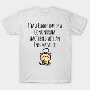 Funny I'm a Riddle Conundrum Enigma Cat design T-Shirt